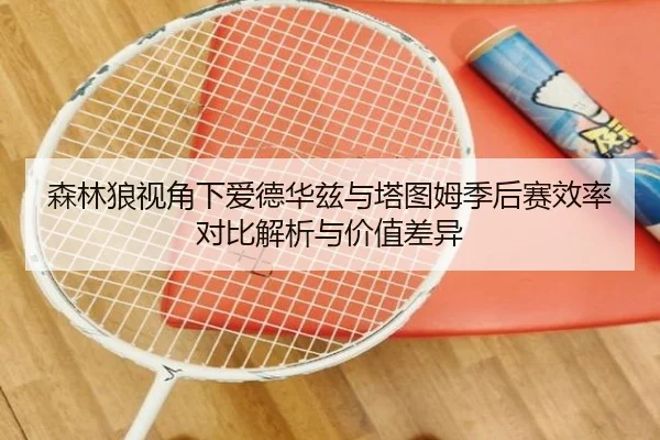 森林狼视角下爱德华兹与塔图姆季后赛效率对比解析与价值差异