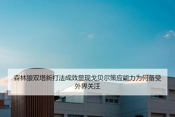森林狼双塔新打法成效显现戈贝尔策应能力为何备受外界关注